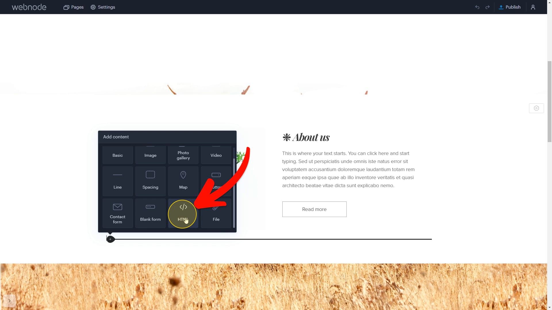 Select HTML