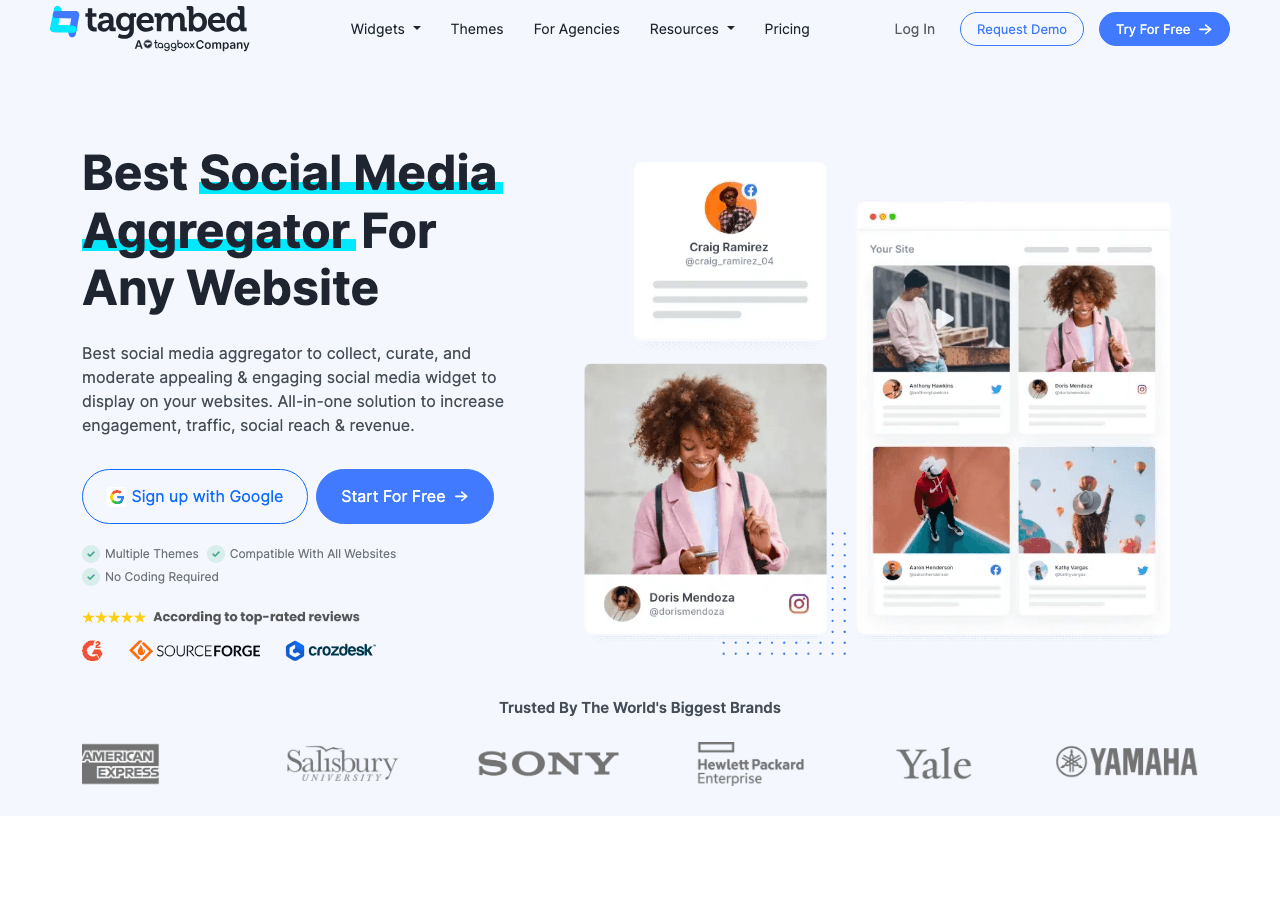 Tagembed Screenshot